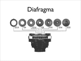 Diafragma
 