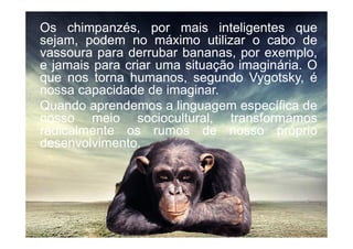 OsOs chimpanzés,chimpanzés, porpor maismais inteligentesinteligentes queque
sejam,sejam, podempodem nono máximomáximo utilizarutilizar oo cabocabo dede
vassouravassoura parapara derrubarderrubar bananas,bananas, porpor exemplo,exemplo,
ee jamaisjamais parapara criarcriar umauma situaçãosituação imagináriaimaginária.. OO
queque nosnos tornatorna humanos,humanos, segundosegundo VygotskyVygotsky,, éé
nossanossa capacidadecapacidade dede imaginarimaginar..
QuandoQuando aprendemosaprendemos aa linguagemlinguagem específicaespecífica dede
nossonosso meiomeio sociocultural,sociocultural, transformamostransformamos
radicalmenteradicalmente osos rumosrumos dede nossonosso própriopróprio
nossonosso meiomeio sociocultural,sociocultural, transformamostransformamos
radicalmenteradicalmente osos rumosrumos dede nossonosso própriopróprio
desenvolvimentodesenvolvimento..
 