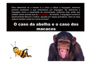 Para determinar se o homem é o único a utilizar a linguagem, devemos
primeiro esclarecer o que entendemos por linguagem. Se definirmos a
linguagem como a capacidade de comunicação, podemos dizer então que
existem vários animais que se comunicam. No entanto, a linguagem humana é
extremamente flexível e criativa, apoiada em regras gramáticas. Será se esse
sistema também existe em outros animais?
O caso da abelha e o caso dos
macacos
 