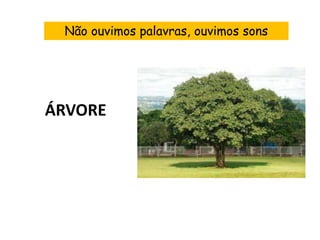 Não ouvimos palavras, ouvimos sons




ÁRVORE
 