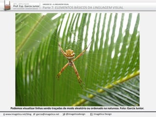 Podemos visualizar linhas sendo traçadas de modo aleatório ou ordenado na natureza. Foto: Garcia Junior.
www.imagetica.net/blog garcia@imagetica.net @imageticadesign Imagética Design
ARTE – ARTES VISUAIS
Prof. Esp. Garcia Junior
ARTE-EDUCADOR / DESIGNER GRÁFICO
UNIDADE 02 – A LINGUAGEM VISUAL
Parte 7: ELEMENTOS BÁSICOS DA LINGUAGEM VISUAL
 