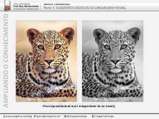 AMPLIANDOOCONHECIMENTO
www.imagetica.net/blog garcia@imagetica.net @imageticadesign Imagética Design
ARTE – ARTES VISUAIS
Prof. Esp. Garcia Junior
ARTE-EDUCADOR / DESIGNER GRÁFICO
UNIDADE 02 – A LINGUAGEM VISUAL
Parte 7: ELEMENTOS BÁSICOS DA LINGUAGEM VISUAL
O tom (quantidade de luz) é independente da cor (matiz).
 