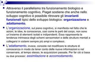 



Attraverso il parallelismo tra funzionamento biologico e
funzionamento cognitivo, Piaget sostiene che anche nello
sviluppo cognitivo è possibile ritrovare gli invarianti
funzionali tipici dello sviluppo biologico: organizzazione e
adattamento.
L’organizzazione, sul piano cognitivo, si manifesta nel fatto che le
azioni, le idee, le conoscenze, così come le parti del corpo, non sono
un’insieme di elementi isolati e indipendenti. Essa rappresenta la
tendenza intrinseca degli schemi sensomotori e delle strutture mentali a
collegarsi in sistemi sempre più ampi e complessi.



L’adattamento, invece, consiste nel modificare le strutture di
conoscenza in modo da tener conto delle nuove informazioni e nel
conservare, al tempo stesso, le acquisizioni passate. Per far ciò si basa
su due processi: assimilazione e accomodamento.

 