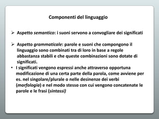 Componenti del linguaggio
 Aspetto semantico: i suoni servono a convogliare dei significati
 Aspetto grammaticale: parol...