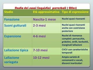Stadio dei suoni linguistici preverbali ( Oller)

Stadio

Età approssimativa Tipo di espressione

Fonazione

Nascita-1 mese

Nuclei quasi risonanti

Suoni gutturali

2-3 mesi

Nuclei quasi risonanti
anche con costrizione
posteriore

Espansione

4-6 mesi

Nuclei di risonanza
completi: pernacchie,
gridolini, strilli, borbottii,
marginali lallazioni

Lallazione tipica

7-10 mesi

CVCV con caratteristiche
temporali

Lallazione
variegata

10-12 mesi

Ampia varietà di
consonanti e vocali,
discorsi inarticolari

 