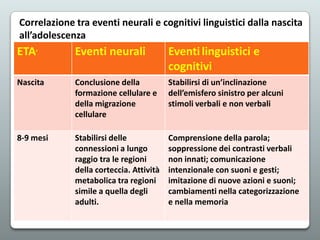 Correlazione tra eventi neurali e cognitivi linguistici dalla nascita
all’adolescenza

ETA’

Eventi neurali

Eventi linguistici e
cognitivi

Nascita

Conclusione della
formazione cellulare e
della migrazione
cellulare

Stabilirsi di un’inclinazione
dell’emisfero sinistro per alcuni
stimoli verbali e non verbali

8-9 mesi

Stabilirsi delle
connessioni a lungo
raggio tra le regioni
della corteccia. Attività
metabolica tra regioni
simile a quella degli
adulti.

Comprensione della parola;
soppressione dei contrasti verbali
non innati; comunicazione
intenzionale con suoni e gesti;
imitazione di nuove azioni e suoni;
cambiamenti nella categorizzazione
e nella memoria

 