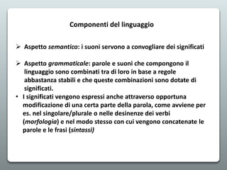 Componenti del linguaggio
 Aspetto semantico: i suoni servono a convogliare dei significati
 Aspetto grammaticale: parole e suoni che compongono il
linguaggio sono combinati tra di loro in base a regole
abbastanza stabili e che queste combinazioni sono dotate di
significati.
• I significati vengono espressi anche attraverso opportuna
modificazione di una certa parte della parola, come avviene per
es. nel singolare/plurale o nelle desinenze dei verbi
(morfologia) e nel modo stesso con cui vengono concatenate le
parole e le frasi (sintassi)
 