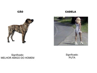 CÃO Significado: MELHOR AMIGO DO HOMEM Significado: PUTA CADELA 