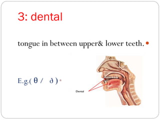 3: dental
tongue in between upper& lower teeth.
•(ðθ /E.g.(
 
