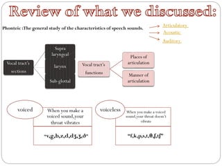 Phonteic :The general study of the characteristics of speech sounds.
Articulatory
Acoustic
Auditory
Vocal tract’s
sections
Supra
laryngeal
larynx
Sub-glottal
Vocal tract’s
functions
Places of
articulation
Manner of
articulation
When you make a
voiced sound,your
throat vibrates
“v,g,b,z,d,dʒ,ʒ,ð”
voiced When you make a voiced
sound,your throat doesn’t
vibrate
“f,k,p,s,t,θ,ʃ,tʃ”
voiceless
 