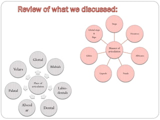 Place of
articulation
Glottal
Bilabials
Labio-
dentals
Dental
Alveol
ar
Palatal
Velars
Manner of
articulation
Stops
Fricatives
Affricates
NasalsLiquods
Glides
Glottal stops
&
flaps
 