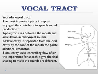 Supra-laryngeal tract:
The most important parts in supra-
laryngeal the contribute to speech sound
production :
1-pharynx:is lies between the mouth and
articulation in pharyngeal sounds .
2-Nasal cavity :is separated from the oral
cavity by the roof of the mouth the palate,
additional resonator.
3-oral cavity: valve controlling flow of air,
the importance for speech it give the final
shaping to make the sounds are different.
 