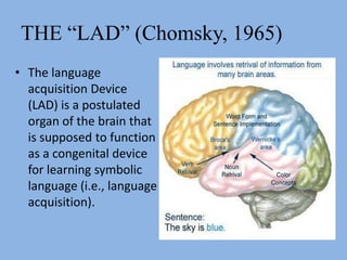 THE “LAD” (Chomsky, 1965)The language acquisition Device (LAD) is a postulated organ of the brain that is supposed to function as a congenital device for learning symbolic language (i.e., language acquisition).