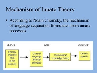 Mechanism of Innate Theory According to Noam Chomsky, the mechanism of language acquisition formulates from innate processes.