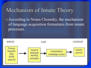 According to Noam Chomsky, the mechanism
of language acquisition formulates from innate
processes.
 