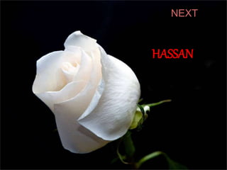 NEXT
HASSAN
 