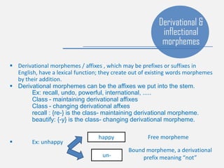  Derivational morphemes / affixes , which may be prefixes or suffixes in
English, have a lexical function; they create out of existing words morphemes
by their addition.
 Derivational morphemes can be the affixes we put into the stem.
Ex: recall, undo, powerful, international, .....
Class - maintaining derivational affixes
Class - changing derivational affxes
recall : {re-} is the class- maintaining derivational morpheme.
beautify: {-y} is the class- changing derivational morpheme.
 Ex: unhappy
Derivational &
inflectional
morphemes
happy
un-
Free morpheme
Bound morpheme, a derivational
prefix meaning “not”
 