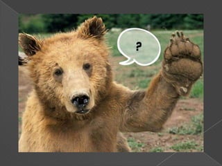 CARACTERÍSTICASSE EMPLEAN DE FORMA AISLADA, PERO CUANDO SE INCORPORA A UNA ORACIÓN LO COMÚN ES QUE APAREZCA AL INICIO.-¡Ay¡ qué dolor.-CUANDO SE INTEGRA A UNA ORACIÓN QUEDA ESTRICTAMENTE FUERA DE SU SECUENCIA, COMO SI FUERAN PARÉNTESIS.-Lloró la niña ¡ay¡ como sufría -ALGUNAS ASUMEN LA FORMA DE EXPRESIONES ONOMATOPÉYICAS-¡Puáj¡, ¡Chit¡, ¡Plásh¡, ¡Páf¡, ¡Pif¡-