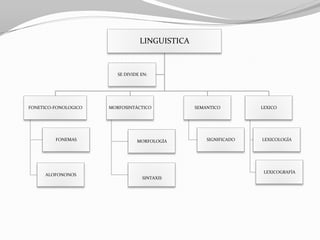 LINGUISTICA



                         SE DIVIDE EN:




FONETICO-FONOLOGICO   MORFOSINTÁCTICO           SEMANTICO         LEXICO




         FONEMAS                 MORFOLOGÍA         SIGNIFICADO   LEXICOLOGÍA




                                                                   LEXICOGRAFÍA
     ALOFONONOS
                                   SINTAXIS
 