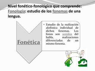 Nivel fonético-fonológico que comprende:
Fonología: estudio de los fonemas de una
lengua.
                   • Estudio de la realización
                     alofónica individual de
                     dichos fonemas. Los
                     fonos son sonidos del
                     habla,       realizaciones
                     diferenciadas     de    un
    Fonética:        mismo fonema.
 