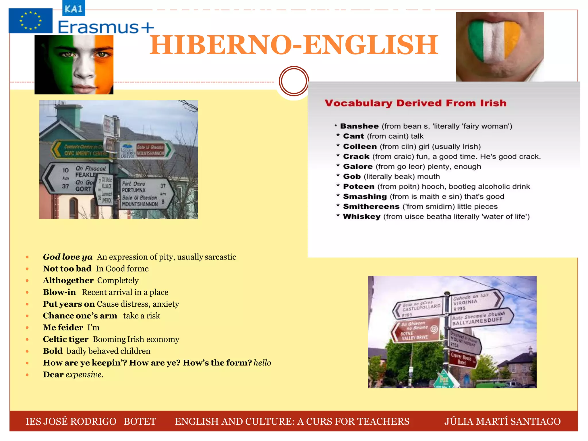 HIBERNO-ENGLISH
HIBERNO-ENGLISH
 God love ya An expression of pity, usually sarcastic
 Not too bad In Good forme
 Althogether Completely
 Blow-in Recent arrival in a place
 Put years on Cause distress, anxiety
 Chance one’s arm take a risk
 Me feider I’m
 Celtic tiger Booming Irish economy
 Bold badly behaved children
 How are ye keepin’? How are ye? How’s the form? hello
 Dear expensive.
IES JOSÉ RODRIGO BOTET ENGLISH AND CULTURE: A CURS FOR TEACHERS JÚLIA MARTÍ SANTIAGO
 