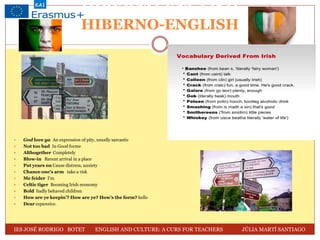 Hiberno Lexis Examples Linguistic interference | PDF