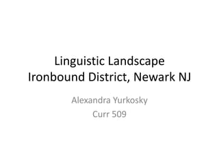 Linguistic Landscape
Ironbound District, Newark NJ
       Alexandra Yurkosky
            Curr 509
 