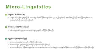 Linguistic(mm) | PDF