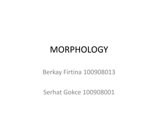 MORPHOLOGY

Berkay Firtina 100908013

Serhat Gokce 100908001
 
