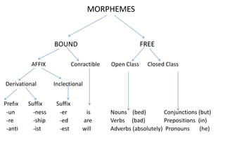 MORPHEMES


                   BOUND                                FREE

          AFFIX              Conractible   Open Class     Closed Class


Derivational       Inclectional


Prefıx   Suffix     Suffix
 -un       -ness     -er          is       Nouns (bed)         Conjunctions (but)
 -re       -ship     -ed         are       Verbs (bad)         Prepositions (in)
 -anti     -ist      -est        will      Adverbs (absolutely) Pronouns     (he)
 