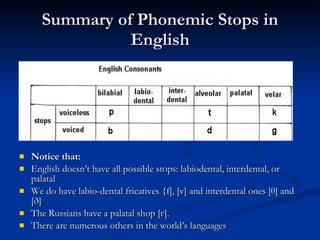Summary of Phonemic Stops in English Notice that: English doesn’t have all possible stops: labiodental, interdental, or palatal  We do have labio-dental fricatives {f], [v] and interdental ones [ θ ] and [ð] The Russians have a palatal shop [t j ]. There are numerous others in the world’s languages 
