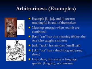 Arbitrariness (Examples) Example [k], [æ], and [t] are not meaningful in and of themselves Meaning emerges when sounds are combined: [kæt] “cat” has one meaning (feline, the one who caught a mouse) [tæk] “tack” has another (small nail) [ækt] “act” has a third (dog and pony show) Even then, this string is language specific (English), not intrinsic 