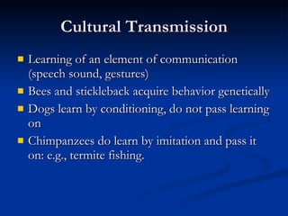Cultural Transmission Learning of an element of communication (speech sound, gestures) Bees and stickleback acquire behavior genetically Dogs learn by conditioning, do not pass learning on Chimpanzees do learn by imitation and pass it on: e.g., termite fishing.  