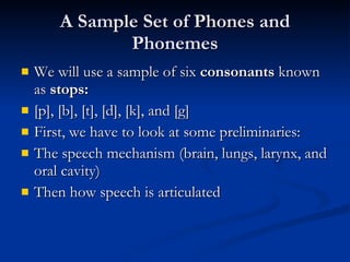 A Sample Set of Phones and Phonemes We will use a sample of six  consonants  known as  stops: [p], [b], [t], [d], [k], and [g] First, we have to look at some preliminaries: The speech mechanism (brain, lungs, larynx, and oral cavity) Then how speech is articulated 