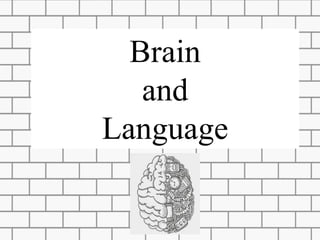 Brain and language | PPTX