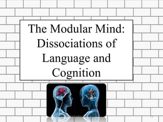 The Modular Mind:
Dissociations of
Language and
Cognition
BRAIN AND LANGUAGE 15
 
