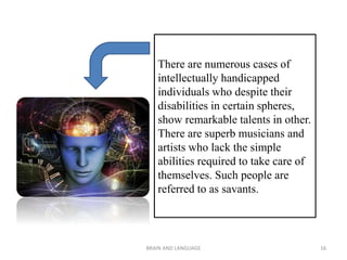 There are numerous cases of
intellectually handicapped
individuals who despite their
disabilities in certain spheres,
show remarkable talents in other.
There are superb musicians and
artists who lack the simple
abilities required to take care of
themselves. Such people are
referred to as savants.
BRAIN AND LANGUAGE 16
 