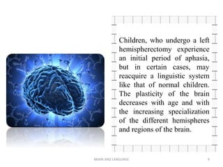 BRAIN AND LANGUAGE 9
Children, who undergo a left
hemispherectomy experience
an initial period of aphasia,
but in certain cases, may
reacquire a linguistic system
like that of normal children.
The plasticity of the brain
decreases with age and with
the increasing specialization
of the different hemispheres
and regions of the brain.
 