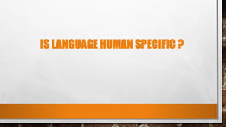 Linguistics | PPTX