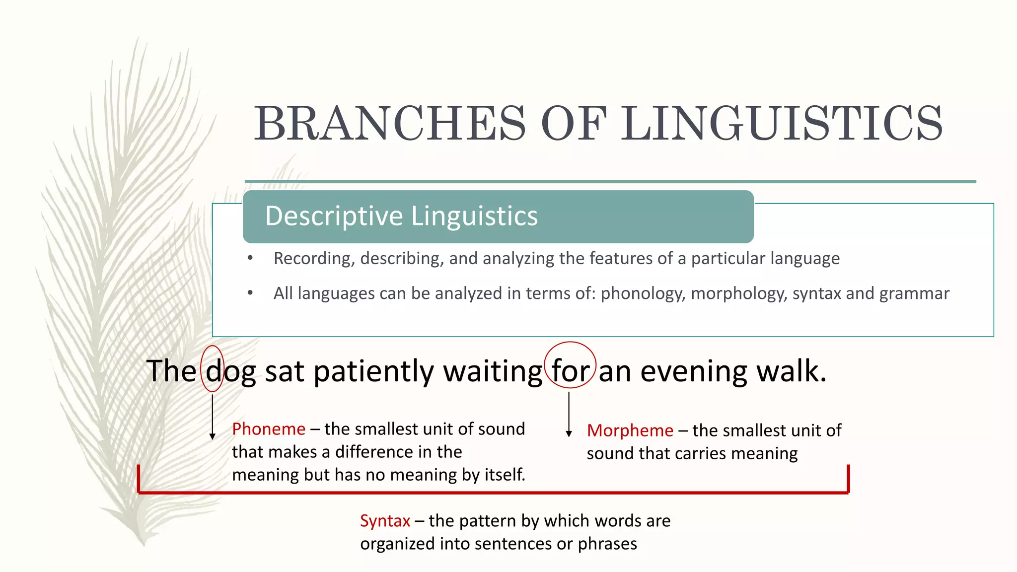 Linguistics 101 Pptx