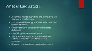 What is Linguistics?
 A grammar includes everything one knows about the
structure of ones language
 Phonetics and Phonology (the sounds and the sound
system or patterns)
 Lexicon (the words or vocabulary in the mental
dictionary)
 Morphology (the structure of words)
 Syntax (the structure of phrases and sentences
and the constraints on well-formedness of
sentences)
 Semantics (the meaning of words and sentences)
 