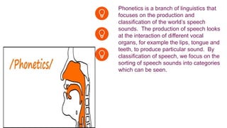 Phonetics is a branch of linguistics that
focuses on the production and
classification of the world’s speech
sounds. The production of speech looks
at the interaction of different vocal
organs, for example the lips, tongue and
teeth, to produce particular sound. By
classification of speech, we focus on the
sorting of speech sounds into categories
which can be seen.
 