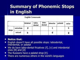 Summary of Phonemic Stops in English Notice that: English doesn’t have all possible stops: labiodental, interdental, or palatal  We do have labio-dental fricatives {f], [v] and interdental ones [ θ ] and [ð] The Russians have a palatal shop [t j ]. There are numerous others in the world’s languages 