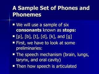 A Sample Set of Phones and Phonemes We will use a sample of six  consonants  known as  stops: [p], [b], [t], [d], [k], and [g] First, we have to look at some preliminaries: The speech mechanism (brain, lungs, larynx, and oral cavity) Then how speech is articulated 