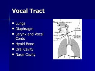 Vocal Tract Lungs Diaphragm  Larynx and Vocal Cords Hyoid Bone Oral Cavity Nasal Cavity 
