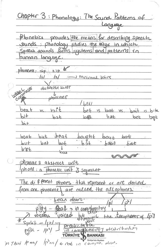 Linguistics Notes Linguistics Notes