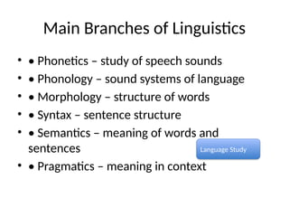 Comprehensive Introduction to Linguistics: Understanding Language ...