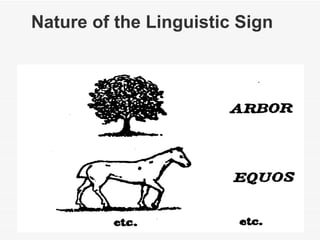 Nature of the Linguistic Sign 
