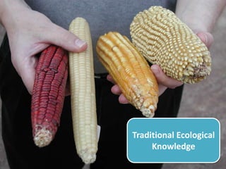 Traditional Ecological
     Knowledge
 