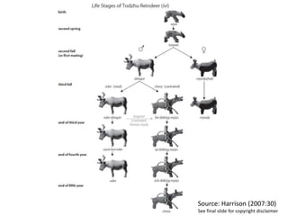 Source: Harrison (2007:30)
See final slide for copyright disclaimer
 